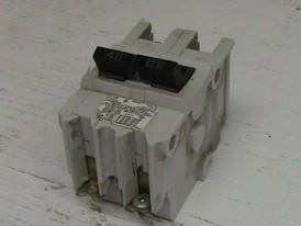 Interruptor Federal Pioneer de 2 Polos 40 amp Tipo NB