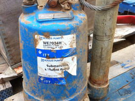 2 HP Goulds Submersible Pump
