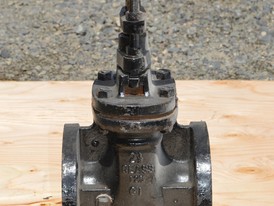 Watts Recco Lawrence 2.5 in. Gate Valve