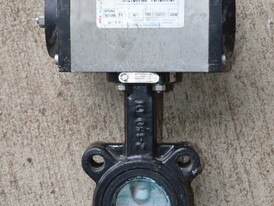 Mas 2 in. Butterfly Valves