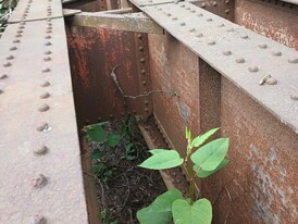 Vigas de Puente de Ferrocarril Lineal de 1000 pies