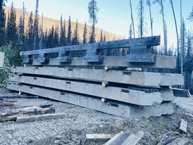 20ft Wide x 30ft Long Bridge
