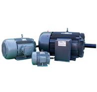 Electric Motors