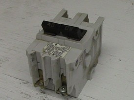 Federal Pioneer 2 Pole 40 Amp Type NB Bolt-on Breaker