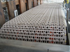 Tri-Star 12 in x 44 in Packaging Conveyor