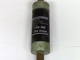 Gould 250 Amp Type D Fuse