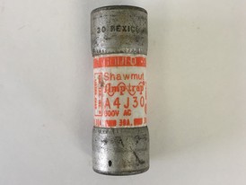 Gould 30 Amp Fuse