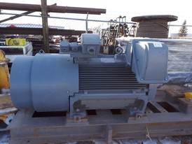 Teco 350 HP Motor