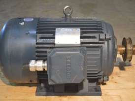 Leeson 30 HP Motor