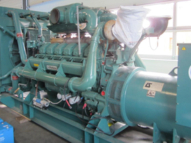 Perkins 1000kW Diesel Generator