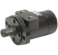 Hydraulic Motors