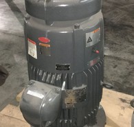 Vertical Motors