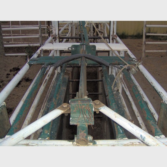 Custom Built Roping Chutes