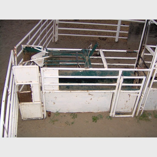 Custom Built Roping Chutes