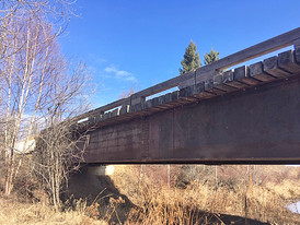 Puente Cubierto de Madera de 90 ft. 