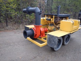 Fairbanks Morse 8 in. Portable Pump