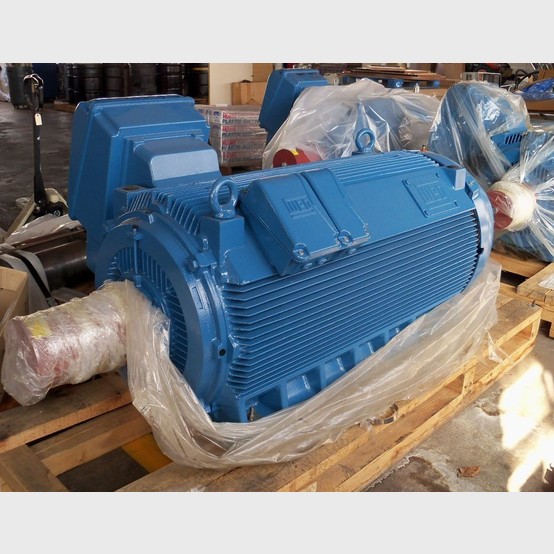 New WEG Electric Motor supplier worldwide 650 hp WEG electric motors