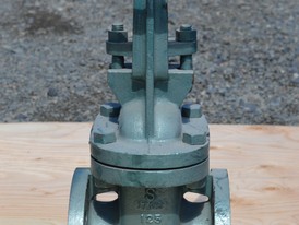 Hattersley Newman Hender 3 in. Gate Valve