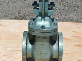 Red White 3 in. Gate Valves