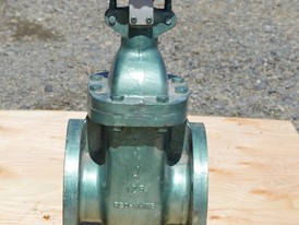 Red White 4 in. Gate Valve