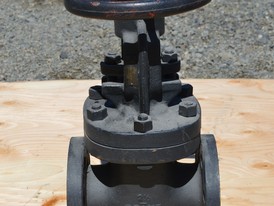 Crane 2.5 in. Gate Valve