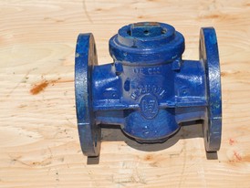 Dezurik 2.5 in. Plug Valve