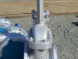 DSI 8 in. Gate Valves